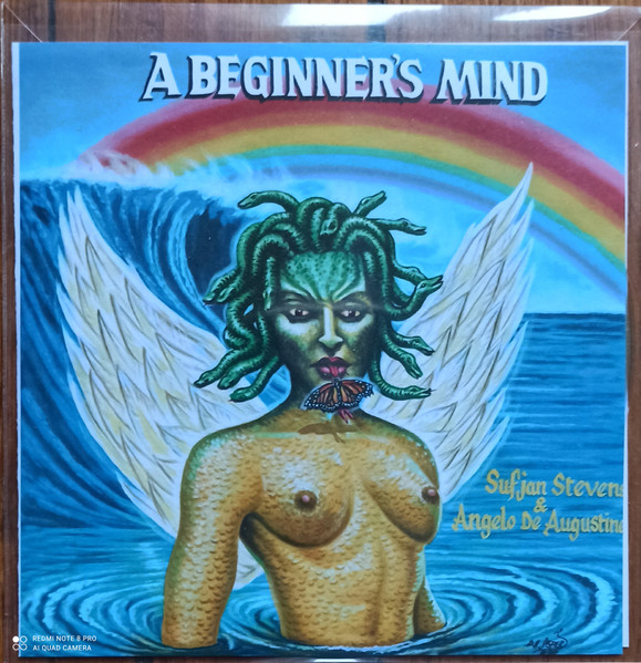 A Beginner's Mind